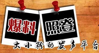 最新龙吟爆料新闻,揭秘神秘龙族势力崛起背后的真相  第1张